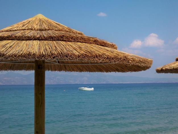 Marzi Beach And Bungalows Hotell Kokkónion Eksteriør bilde
