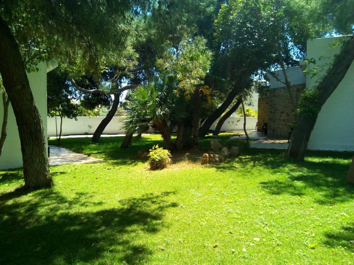 Marzi Beach And Bungalows Hotell Kokkónion Eksteriør bilde